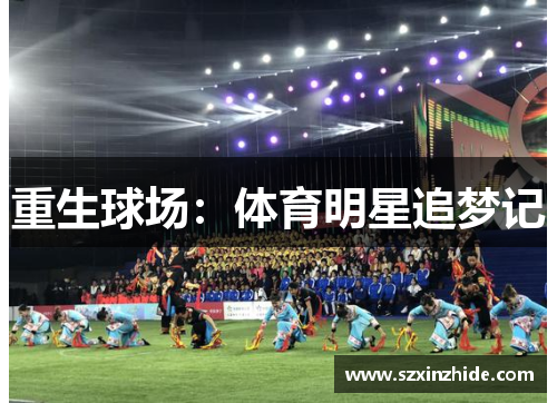 重生球场：体育明星追梦记