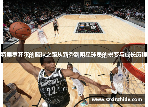 特里罗齐尔的篮球之路从新秀到明星球员的蜕变与成长历程