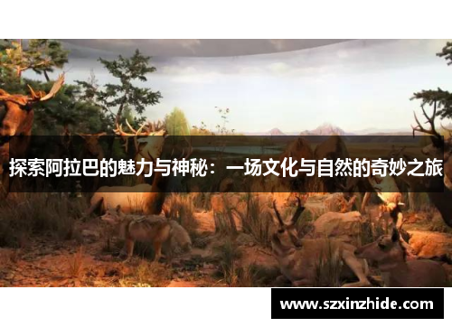 探索阿拉巴的魅力与神秘：一场文化与自然的奇妙之旅